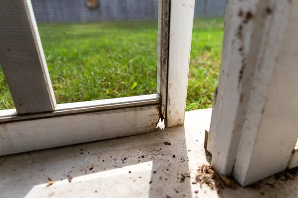 Close-up of damaged wood on exterior screen door of a porch, in need of repair.