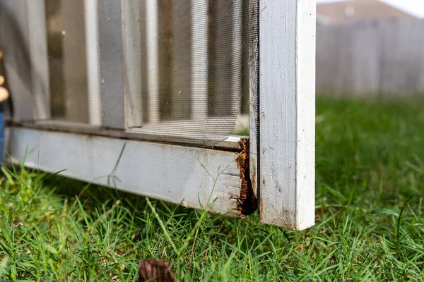 Närbild Ruttet Trä Ytterdörren Till Veranda — Stockfoto