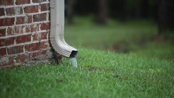 Práce okapu na cihlovém domě s tekoucí vodou do trávy během dešťové bouře — Stock video