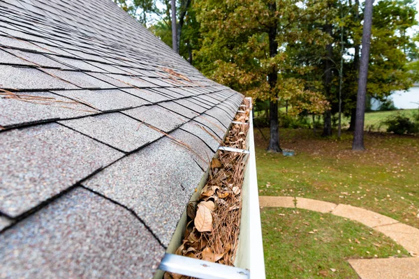 Leave Pinestraw Filling Gutters Home — Stock Photo, Image