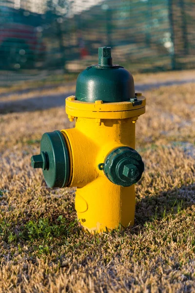 Farbenfroher Gelber Und Grüner Feuerhydrant Zur Wasserversorgung — Stockfoto