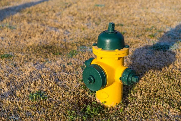 Красочные Желтый Зеленый Гидрант Огня Используемый Подачи Большого Объема Воды — стоковое фото