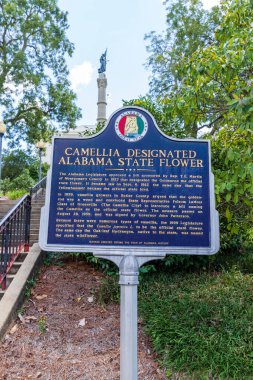 Montgomery, AL / USA - 27 Ağustos 2020: Kamelya Tarihi İşareti Alabama 'nın Devlet Çiçeği
