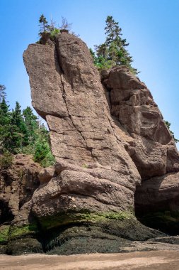 Kanada 'nın New Brunswick kentindeki Hopewell Kayalık Parkı' nda dev kaya oluşumları - Kanada Seyahat Alanı - Kanada Manzarası