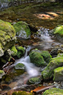 Kanada, New Brunswick 'teki Fundy Ulusal Parkı' nda Dickson Deresi 'nin akan su akıntısına uzun süre maruz kalmak.