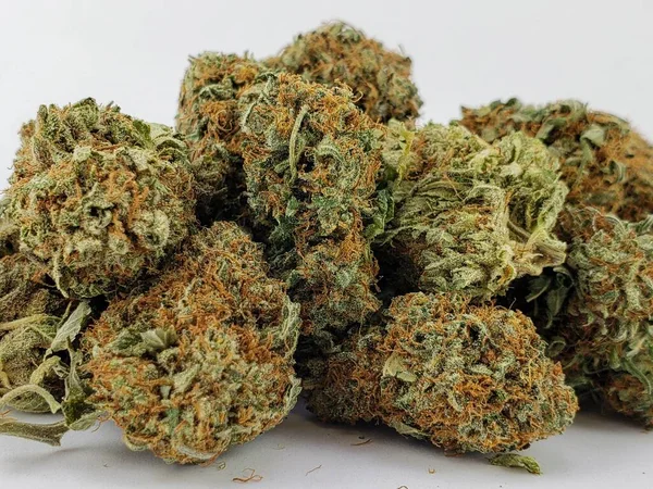 Grupp Torkade Blommor Cannabisknoppar Sativa Stam Framför Vit Bakgrundsativa — Stockfoto