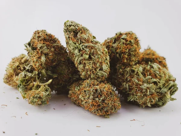 Grupp Torkade Blommor Cannabisknoppar Sativa Stam Framför Vit Bakgrundsativa Royaltyfria Stockfoton