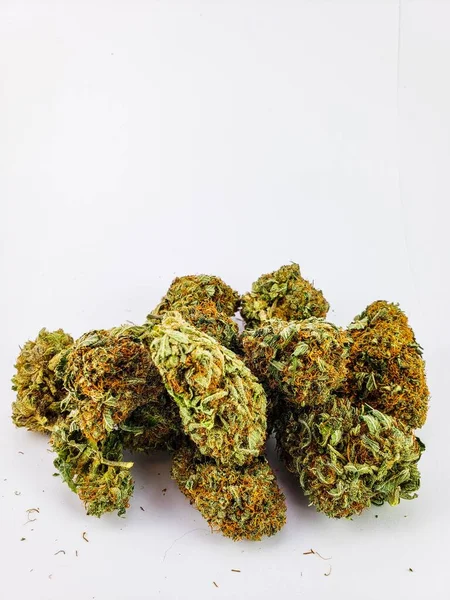 Grupp Torra Blommor Sativa Stam Cannabis Knoppar Framför Vit Bakgrund — Stockfoto