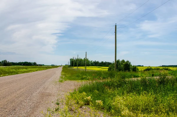 Estradas Rurais Vibrantes Campos Canola Amarela Manitoba Rural Canadá — Fotografia de Stock