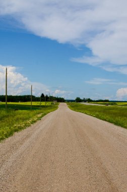 Minnedosa yakınlarındaki Manitoba kırsalında elektrik direkleriyle kaplı çakıl yolu.
