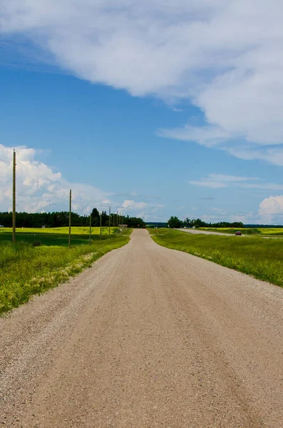 Χωματόδρομος Επενδεδυμένος Ηλεκτρικούς Πόλους Στην Αγροτική Περιοχή Manitoba Κοντά Στη — Φωτογραφία Αρχείου
