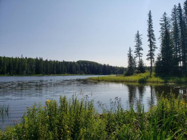 Yazın Manitoba, Duck Mountain İl Parkı 'nda Hickey Gölü' nün yürüyüş parkındaki güzel manzarası.