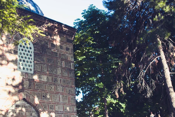 Edificio Histórico Islámico Árbol — Foto de Stock