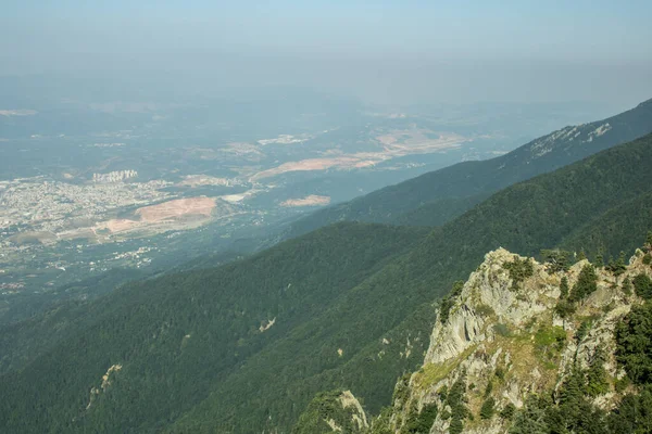 Forêt Verte Paysage Urbain — Photo