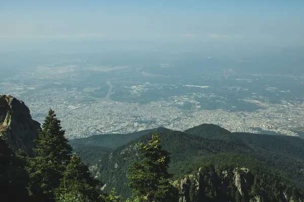 Blick Auf Stadt Und Grüne Wälder — Stockfoto