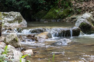 Ormanda kayaları olan küçük bir şelale.