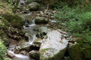 Şelale ve kayalar ormanda uzun pozlama fotoğrafı