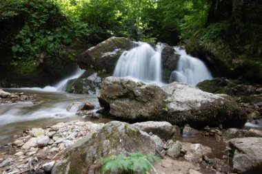 İnanılmaz şelale ve ormandaki kayalar