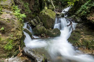 İnanılmaz şelale ve ormandaki kayalar