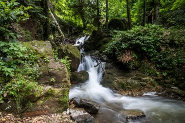 İnanılmaz şelale ve ormandaki kayalar