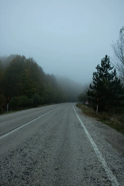 Estrada Floresta Com Nevoeiro — Fotografia de Stock