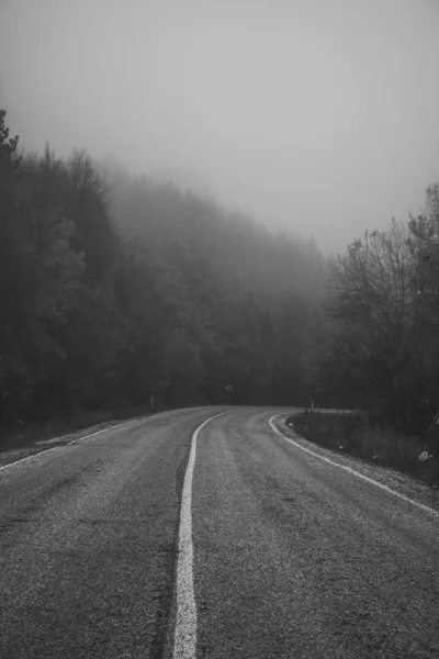 Schwarz Weißer Weg Mit Wald — Stockfoto