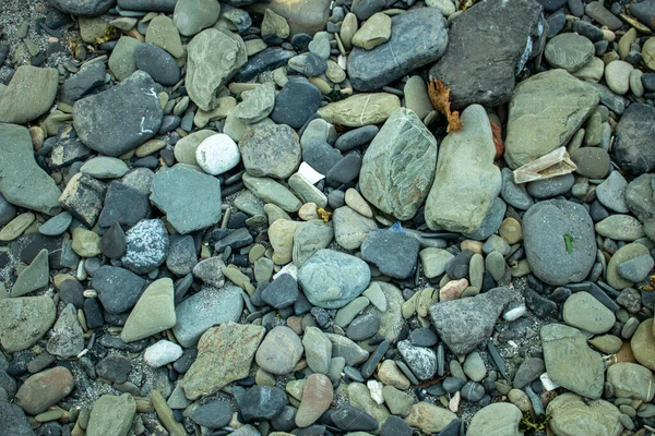大きな異なる色の小石の背景 — ストック写真