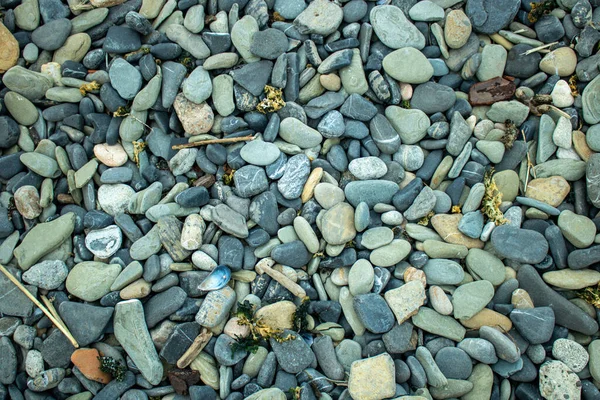 Petits Cailloux Près Plage — Photo