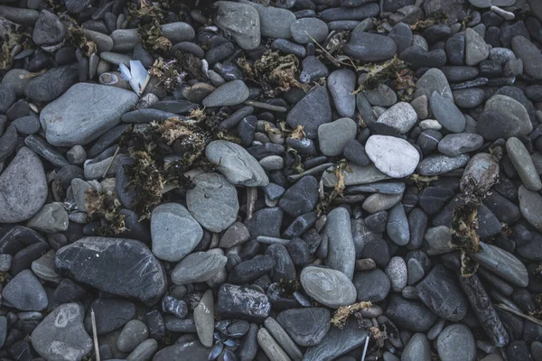 Big Different Colors Pebbles Background — Stock Photo, Image