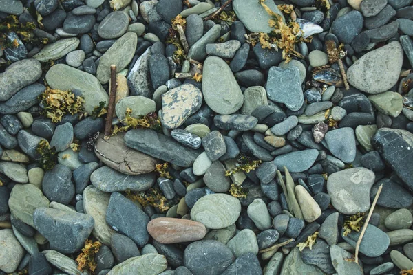 Grandes Cores Diferentes Seixos Fundo — Fotografia de Stock