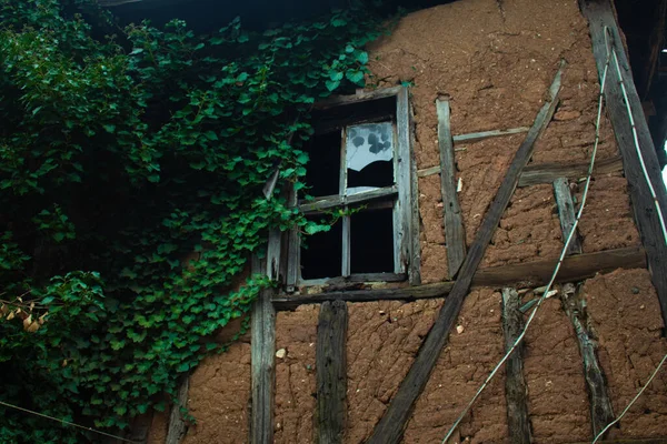 Alte Osmanische Fenster Mit Grünen Blättern — Stockfoto