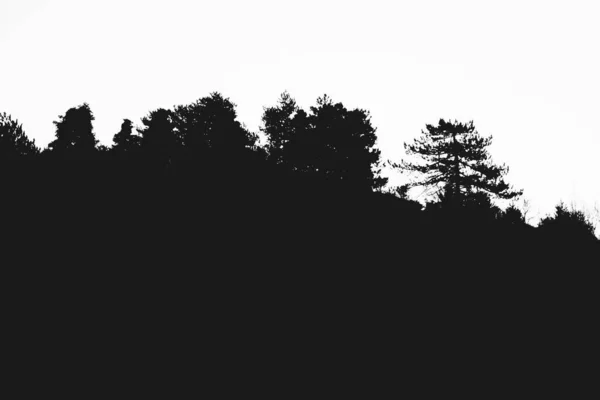 Δέντρα Και Ορεινή Σιλουέτα — Φωτογραφία Αρχείου