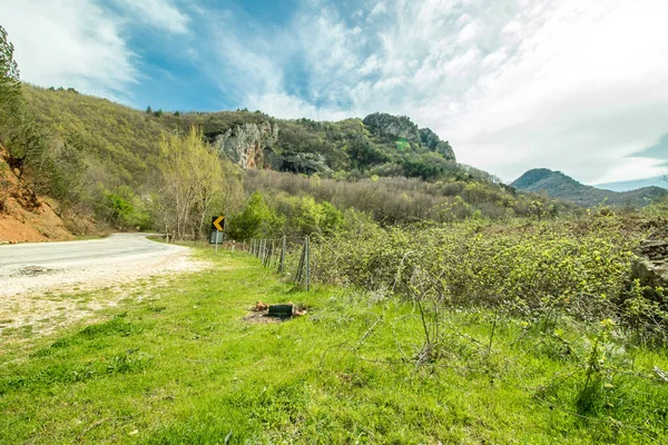 Bosco Verde Con Paesaggio Stradale — Foto Stock