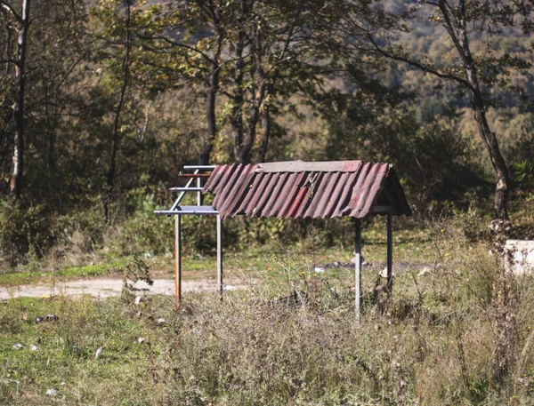 Casa Cachorro Velho Floresta — Fotografia de Stock