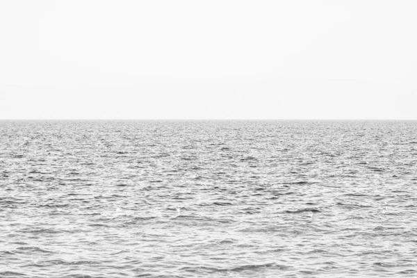 Mar Cielo Con Colores Blanco Negro — Foto de Stock