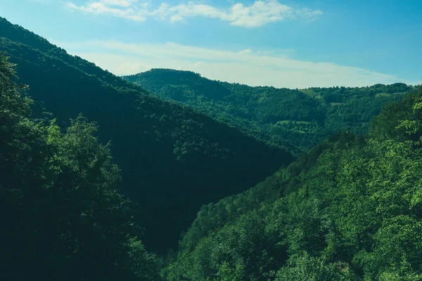 Beau Paysage Avec Montagnes Arbres — Photo