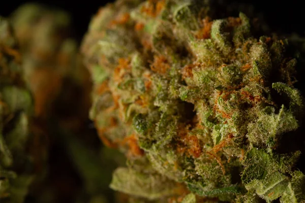 Torkade Blad Grön Medicinsk Marijuana Närbild Makrobild Medicinsk Marijuana — Stockfoto