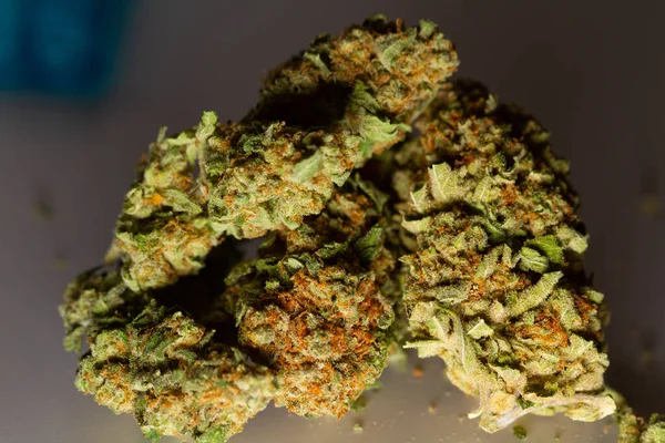 Gedroogde Bladeren Van Groene Medicinale Marihuana Close Macro Foto Medische — Stockfoto