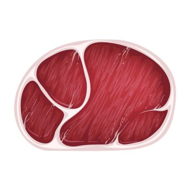 Biftek taze taze. Gerçekçi vektör çizimi. Beyaz arkaplanda izole