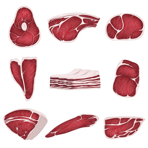 Cordeiro, carne de porco e outras imagens de carne em estilo plano. Bife de carne de bovino, carne de porco crua. —  Vetores de Stock