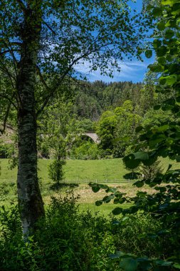 Kara Orman 'daki Ravenna geçidine uzanan bir demiryolu köprüsünün uzak görüntüsü.