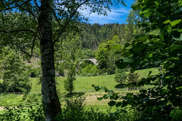 Kara Orman Daki Ravenna Geçidine Uzanan Bir Demiryolu Köprüsünün Uzak — Stok fotoğraf