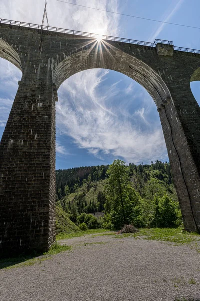 ドイツのブライトナウにあるラヴェンナ峡谷の古い鉄道橋の壮大な景色 — ストック写真