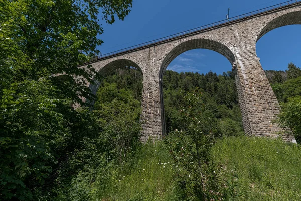 ドイツのブライトナウにあるラヴェンナ峡谷の古い鉄道橋の壮大な景色 — ストック写真
