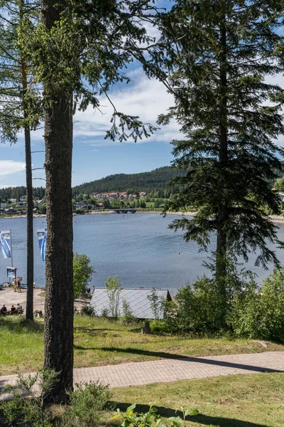 Schluchsee Водосховище Районі Брейсгау Хошварцвальд Південному Сході Від Тітієй Чорному — стокове фото