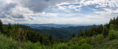 Kara Orman 'ın panoramik manzarası, aynı isimli otelin yakınındaki Schliffkopf adlı ünlü yerde.