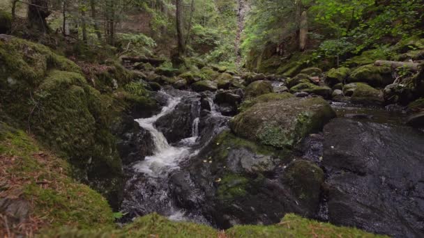 Zeitlupenvideo Des Wasserfalls Der Ravennaschlucht Mit Bemoosten Steinen — Stockvideo