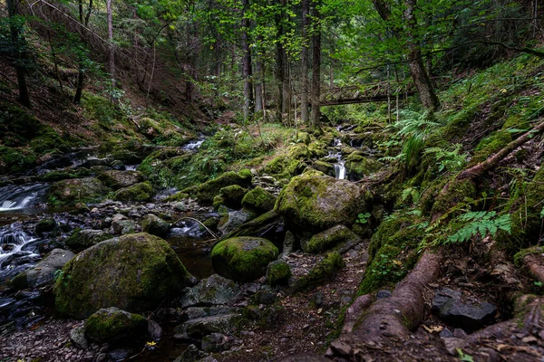 Ravennschlucht Localizado Floresta Negra Alemanha Através Belo Desfiladeiro Corre Belo — Fotografia de Stock