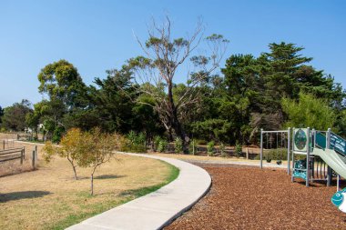 Parktaki yeşil ağaçlar 