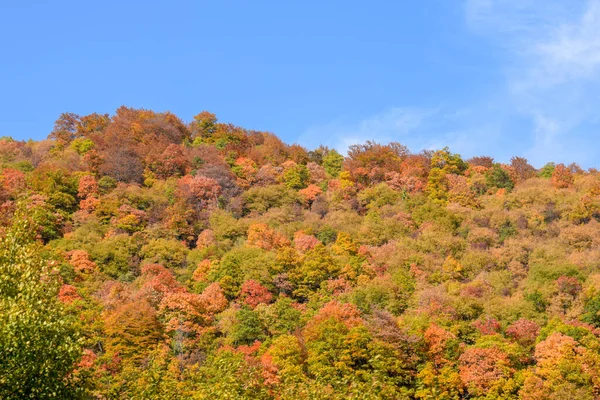 Vista Sobre Las Colinas Montañas Los Alrededores Durante Otoño —  Fotos de Stock